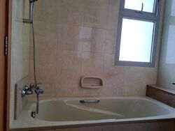 Hillview Regency (D23), Condominium #637332631